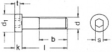 m12x100 rvs