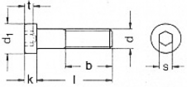 m12x100 rvs