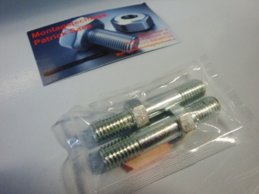 Shock bolts galvanized set of 2 